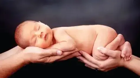 Bebé recién nacido acurrucado y sostenido por las manos de sus padres.